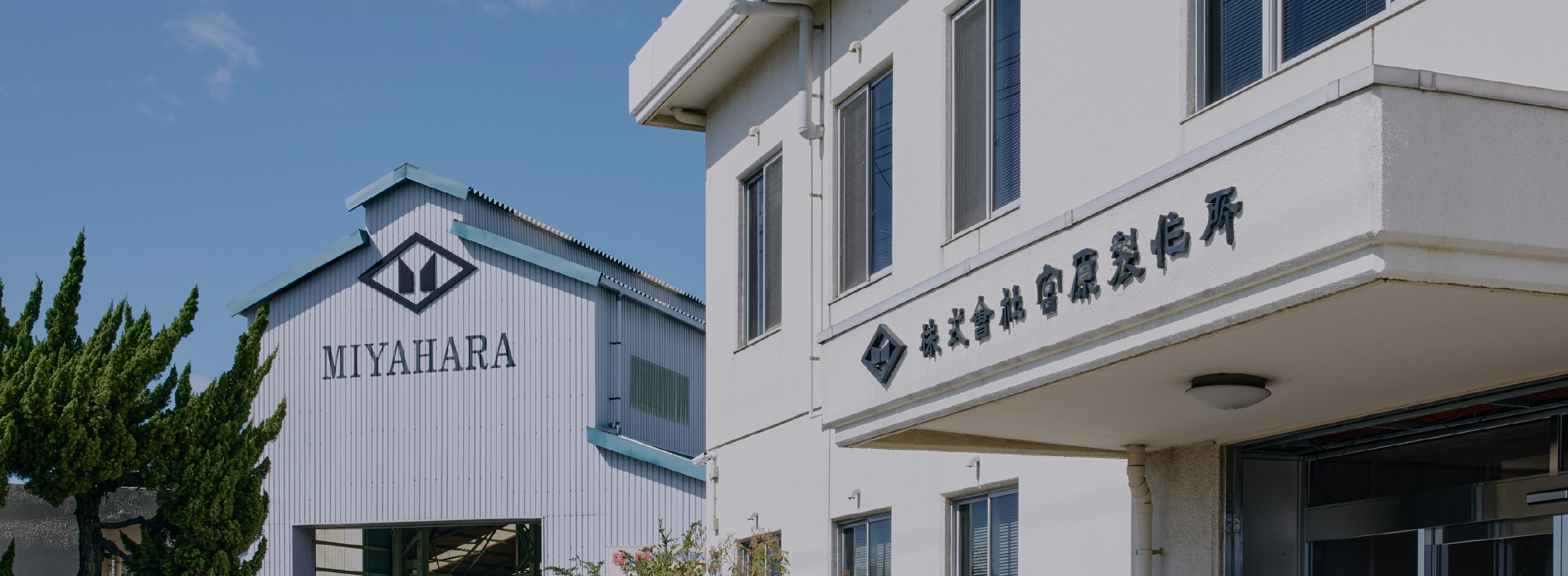 Company Information Image