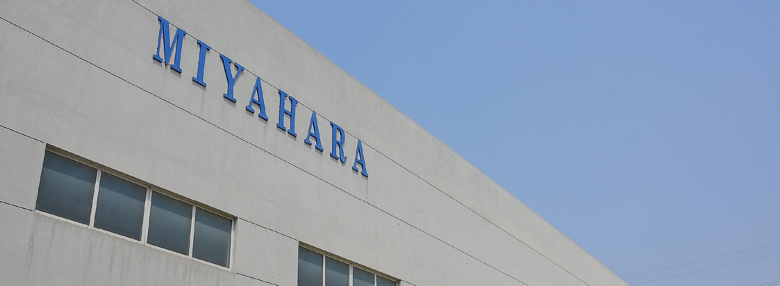 会社情報イメージ